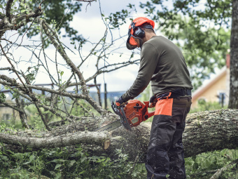 Бензопила Husqvarna 135 Mark II (1.6 кВт/2.2 л.с.,X-TORQ, 16'', SN, 3/8"mini, 1.3 мм) 9678618-36
